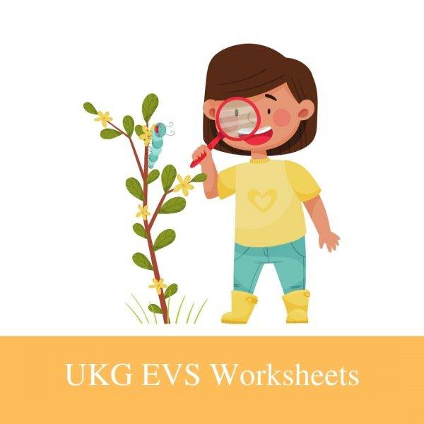 Buy UKG EVS Worksheets