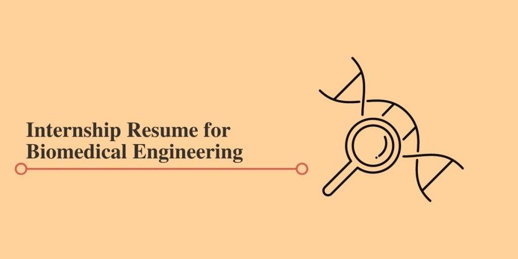 Sample Internship Resume for Biomedical Engineering