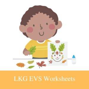 printable lkg evs and gk worksheets for download in pdf 2021