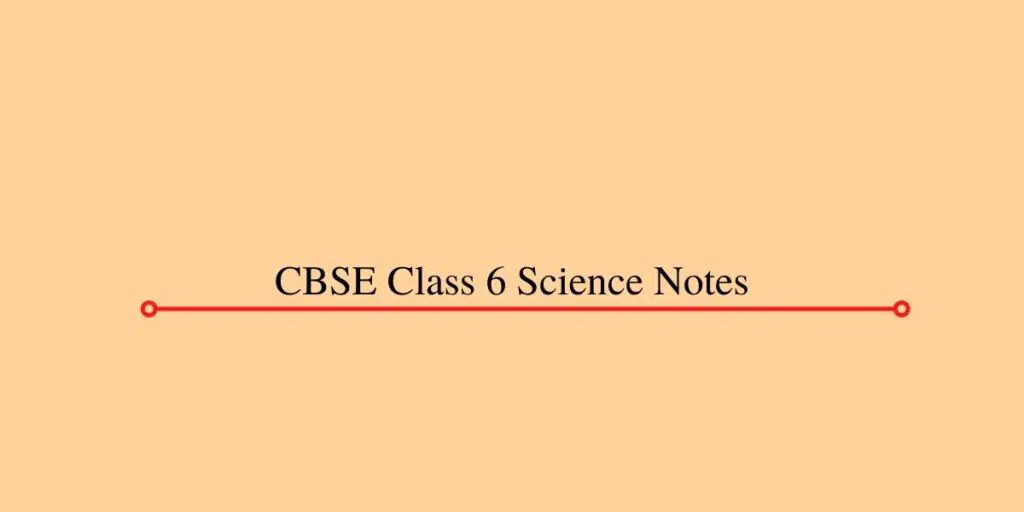 CBSE Class 6 Science Notes