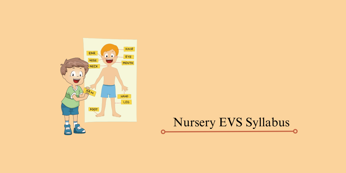 image showing kid learning about different body parts. referencing nursery EVS syllabus.